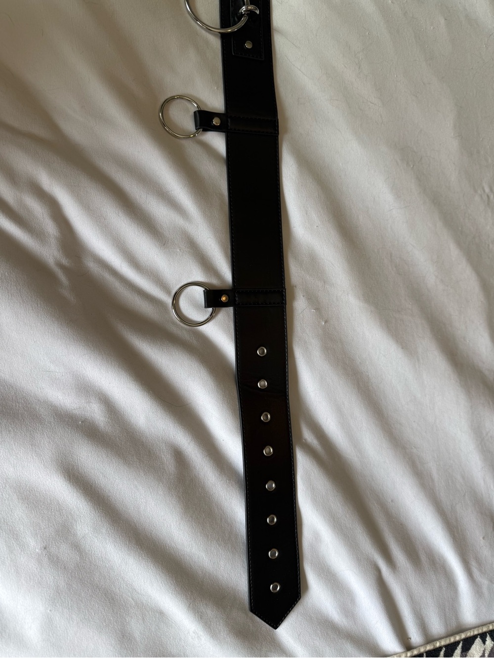 Black Ring Detail Belt from Disturbia.